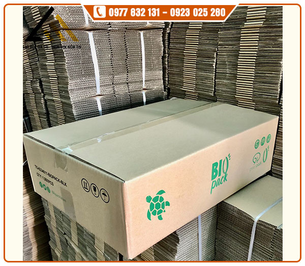 Hộp carton in theo yêu cầu